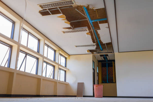 Best Flood damage cleanup  in Merkel, TX