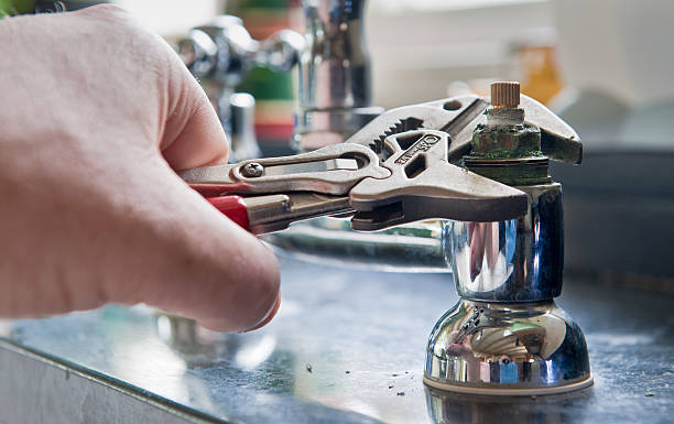 Best Mold removal after water damage  in Merkel, TX