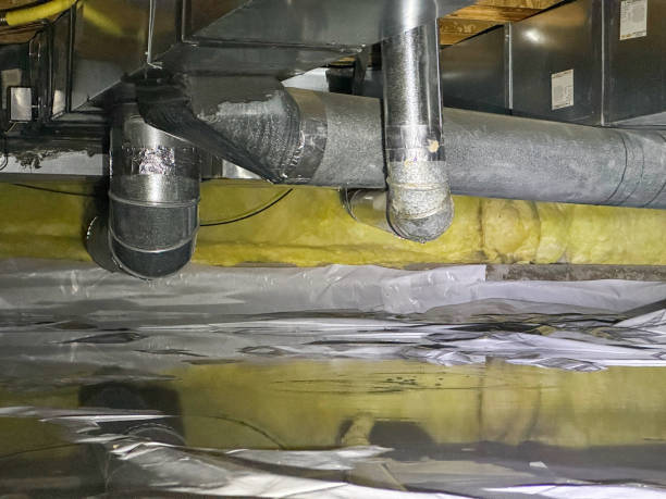 Best Water damage contractors near me  in Merkel, TX
