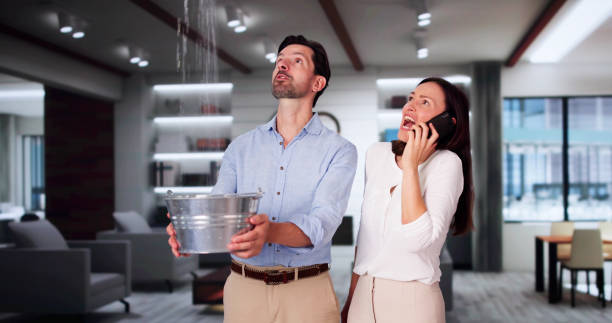 Best Sewage cleanup and water damage restoration  in Merkel, TX